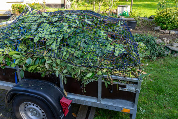 Same-Day Junk Removal Services in Black Point Green Point, CA